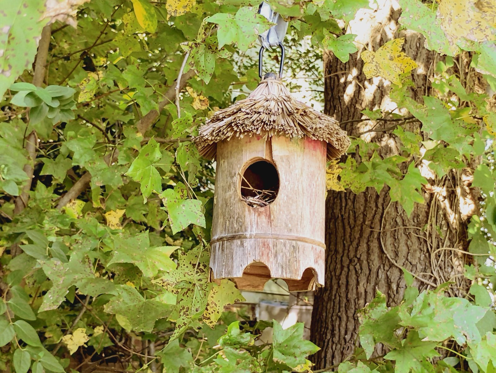 A thatched-roof birdhouse hanging among green leaves, with a small nest visible in the round opening.