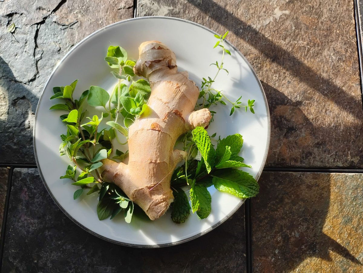 Fresh ginger root on a white plate with herbs, in sunlight