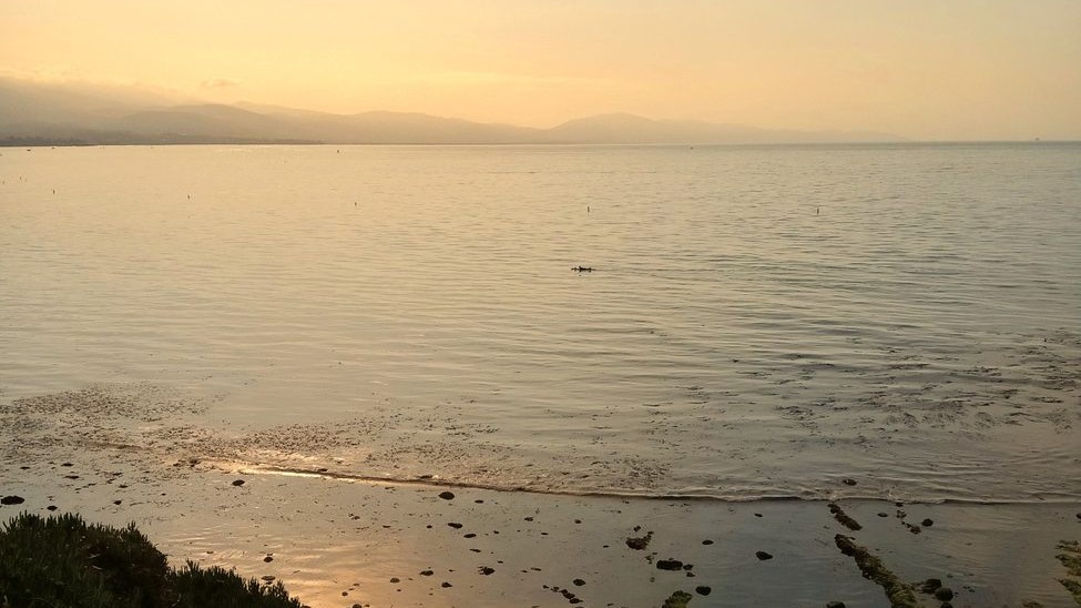 A calm, glassy bay at dusk
