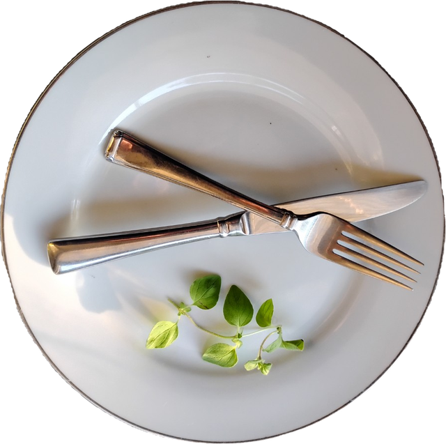 An empty white plate with a knife and fork crossed and a small oregano sprig