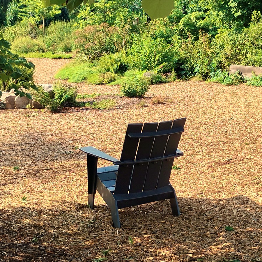An empty dark chair under a tree in a quiet garden