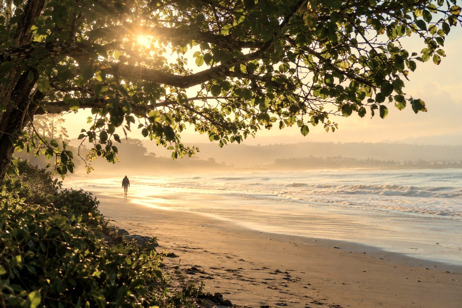 A woman walking a misty beach at sunrise